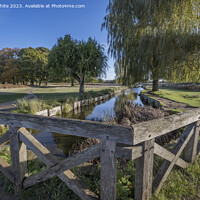 Buy canvas prints of Stream leading to leg of Mutton pond Bushy Park Surrey by Kevin White