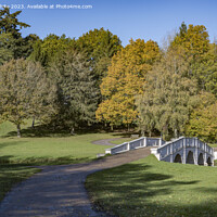 Buy canvas prints of Five arch bridge at Painshill gardens in autumn by Kevin White
