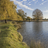 Buy canvas prints of Bushy Park pondside autumn view by Kevin White