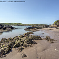 Buy canvas prints of Sandy beach and rocks on Welsh coast by Kevin White