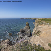 Buy canvas prints of Cliff walk to Broad Haven South beach Pembrokeshire by Kevin White