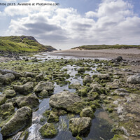 Buy canvas prints of Mossy rocks on Broad Haven beach South Pembrokeshire by Kevin White