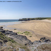 Buy canvas prints of Broad Haven beach view from cliff top by Kevin White
