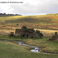 Buy canvas prints of Dappled sunlight over Staple tors Dartmoor by Kevin White