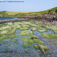 Buy canvas prints of Mossy rocks on edge of Manorbier beach Pembrokeshire by Kevin White