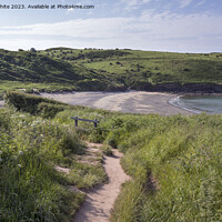 Buy canvas prints of Cliff walk down to Manorbier Beach in South Wales by Kevin White