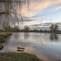 Buy canvas prints of Leg of Mutton pond Bushy Park at dawn by Kevin White