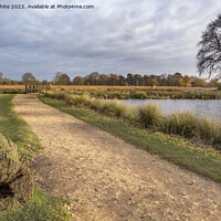 Buy canvas prints of Cycle and walking path around ponds at Bushy Park by Kevin White