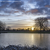 Buy canvas prints of Mid winter sunrise at Bushy Park by Kevin White