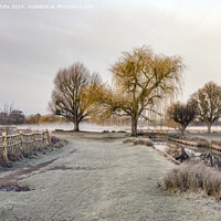 Buy canvas prints of Winter Frosty scene at Bushy Park Surrey by Kevin White