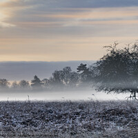 Buy canvas prints of Spooky mist on a January morning by Kevin White