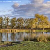 Buy canvas prints of Bright sunny February morning at Bushy Park by Kevin White