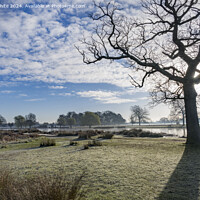 Buy canvas prints of Sun rising  behind the tree by Kevin White