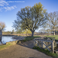 Buy canvas prints of Cycle and footpath around Bushy Park ponds by Kevin White