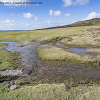 Buy canvas prints of Walk to Cox Tor after the rains by Kevin White