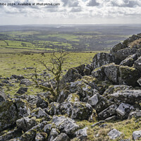 Buy canvas prints of View to Tavistock area from Cox Tor  by Kevin White