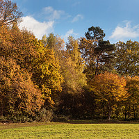 Buy canvas prints of Autumn colours by Kevin White