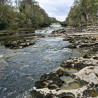 Buy canvas prints of Yorkshire Dales Aysgarth Falls by Kevin White