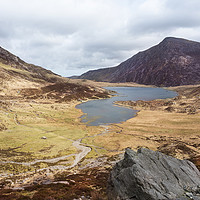 Buy canvas prints of Welsh Mountain walking by Kevin White