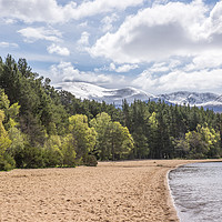 Buy canvas prints of Loch Morlich beach by Kevin White