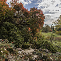 Buy canvas prints of Polesden Lacey Surrey Autumn colour by Kevin White