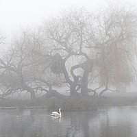Buy canvas prints of morning mist by Kevin White