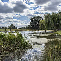 Buy canvas prints of Large pond Bushy Park by Kevin White