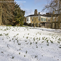 Buy canvas prints of Polesden Lacey with a drop of snow by Kevin White