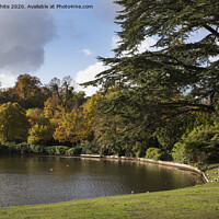 Buy canvas prints of Autumn at Claremont Gardens Surrey by Kevin White