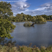 Buy canvas prints of Pen Ponds in Autumn by Kevin White