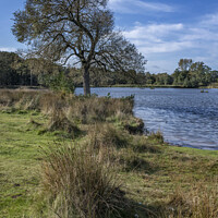 Buy canvas prints of Pen Ponds in Richmond Park by Kevin White