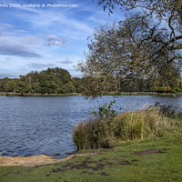 Buy canvas prints of Pen Ponds Richmond Park by Kevin White