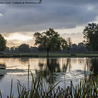 Buy canvas prints of Early morning view at Bushy Park by Kevin White