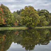Buy canvas prints of Pains Hill lake and gardens by Kevin White