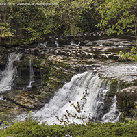Buy canvas prints of Aysgarth falls Yorkshire Dales by Kevin White