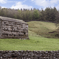 Buy canvas prints of Yorkshire Dales farm building by Kevin White