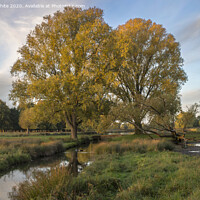 Buy canvas prints of Autumn has arrived by Kevin White