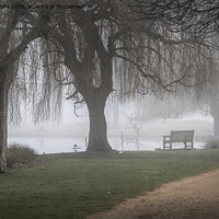 Buy canvas prints of Cold misty morning by Kevin White