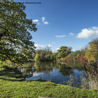 Buy canvas prints of Autumn colour at Hatchlands in Surrey by Kevin White