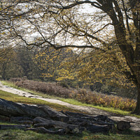 Buy canvas prints of Cycle track through woods  by Kevin White