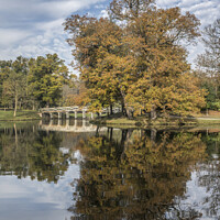 Buy canvas prints of Autumn colours at Painshill  by Kevin White