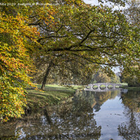 Buy canvas prints of Autumn comes to Cobham by Kevin White
