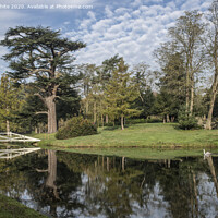Buy canvas prints of Painshill Park lake by Kevin White