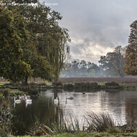 Buy canvas prints of Bushy Park pond on a cold morning by Kevin White