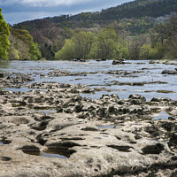 Buy canvas prints of The wonderful Aysgarth Falls by Kevin White