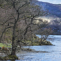 Buy canvas prints of Trees on edge of Ullswater by Kevin White