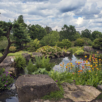 Buy canvas prints of Wisley Garden Rockery by Kevin White