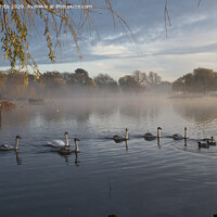 Buy canvas prints of Mist across the pond by Kevin White
