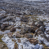 Buy canvas prints of Walking the Cairngorms by Kevin White