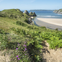 Buy canvas prints of Three Cliffs Bay Wales by Kevin White